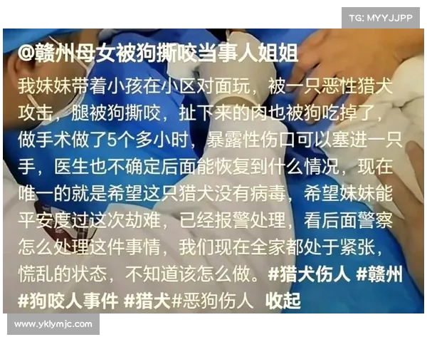 揭示捕捉游侠宠物过程中最易被忽视的十大典型误区与应对策略 揭示捕捉游侠宠物过程中最易被忽视的十大典型误区与应对策略
